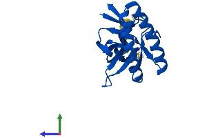 AlphaFold protein structure predicition of Human Recombinant TPT1 Protein, UniprotID P13693