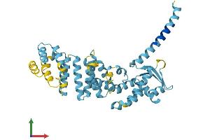 AlphaFold protein structure predicition of Mouse Recombinant Psmd13 Protein, UniprotID Q9WVJ2