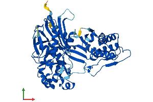 AlphaFold protein structure predicition of Mouse Recombinant Shpk Protein, UniprotID Q9D5J6
