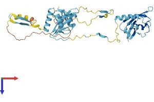 AlphaFold protein structure predicition of Mouse Recombinant Nsfl1c Protein, UniprotID Q9CZ44