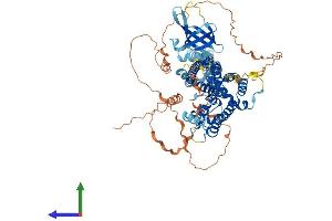 AlphaFold protein structure predicition of Human Recombinant OPHN1 Protein, UniprotID O60890