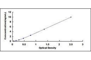 Beaded Filament Structural Protein 1, Filensin (BFSP1) ELISA Kit