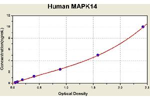 Diagramm of the ELISA kit to detect Human MAPK14with the optical density on the x-axis and the concentration on the y-axis.