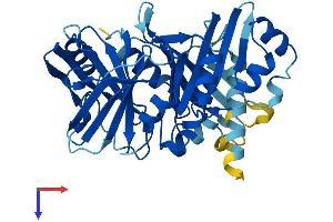 AlphaFold protein structure predicition of Mouse Recombinant Hpdl Protein, UniprotID Q8K248