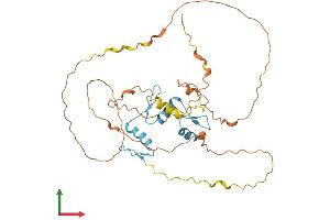 AlphaFold protein structure predicition of Mouse Recombinant Klf1 Protein, UniprotID P46099