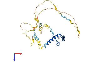 AlphaFold protein structure predicition of Human Recombinant EMX2 Protein, UniprotID Q04743