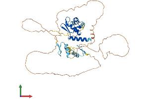 AlphaFold protein structure predicition of Human Recombinant ZBTB25 Protein, UniprotID P24278