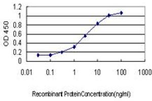 Detection limit for recombinant GST tagged GMPS is approximately 0.