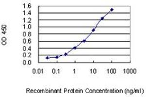 Detection limit for recombinant GST tagged MSC is 0. (Musculin anticorps  (AA 1-100))