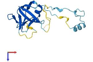 AlphaFold protein structure predicition of Human Recombinant ERVK-25 Protein, UniprotID P63125