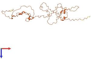 AlphaFold protein structure predicition of Human Recombinant KRTAP10-10 Protein, UniprotID P60014