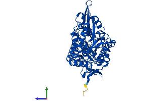 AlphaFold protein structure predicition of Mouse Recombinant Aldh8a1 Protein, UniprotID Q8BH00