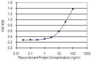 Detection limit for recombinant GST tagged HAGHL is 0.