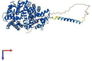 AlphaFold protein structure predicition of Human Recombinant ECE1 Protein, UniprotID P42892