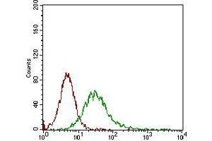 Flow cytometric analysis of Jurkat cells using CD68 mouse mAb (green) and negative control (red). (CD68 anticorps  (AA 42-155))