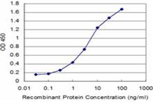 Detection limit for recombinant GST tagged GLRA1 is approximately 0. (GLRA1 anticorps  (AA 121-220))