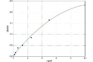 A typical standard curve (OGG1 Kit ELISA)