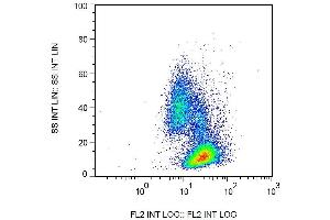 Surface staining of human peripheral blood cells by mouse monoclonal anti-beta2-microglobulin antibody B2M-02 biotin.