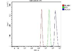 Flow Cytometry analysis of HepG2 cells using anti-REXO4 antibody (ABIN7599685).