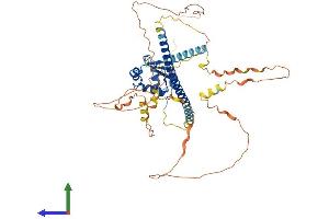 AlphaFold protein structure predicition of Human Recombinant HSF1 Protein, UniprotID Q00613