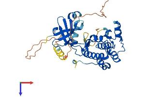 AlphaFold protein structure predicition of Mouse Recombinant Aurkb Protein, UniprotID O70126