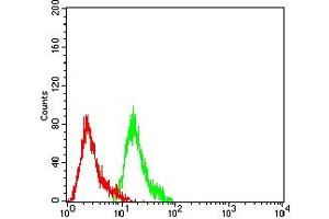 Flow cytometric analysis of Hela cells using NFKB2 mouse mAb (green) and negative control (red).