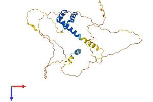 AlphaFold protein structure predicition of Mouse Recombinant Alx1 Protein, UniprotID Q8C8B0