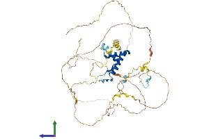 AlphaFold protein structure predicition of Mouse Recombinant Sox8 Protein, UniprotID Q04886