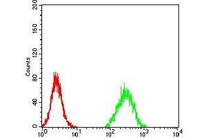 Flow cytometric analysis of Hela cells using ZFP91 mouse mAb (green) and negative control (red). (ZFP91 anticorps  (AA 162-304))