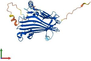 AlphaFold protein structure predicition of Mouse Recombinant Tiprl Protein, UniprotID Q8BH58
