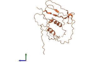 AlphaFold protein structure predicition of Human Recombinant ZNF365 Protein, UniprotID Q70YC4