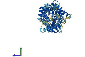 AlphaFold protein structure predicition of Human Recombinant SLC25A24 Protein, UniprotID Q6NUK1