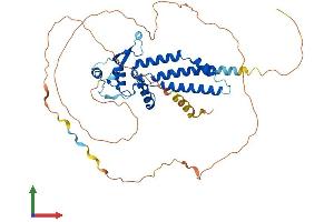 AlphaFold protein structure predicition of Human Recombinant TFAP2B Protein, UniprotID Q92481