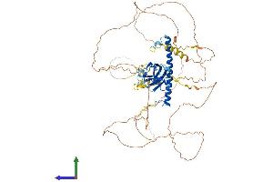 AlphaFold protein structure predicition of Mouse Recombinant Rab11fip1 Protein, UniprotID Q9D620