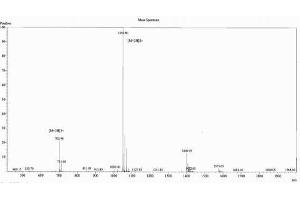 Image no. 1 for Procollagen II C-Terminal Propeptide (PIICP) (C-Term) peptide (Ovalbumin) (ABIN5666350)
