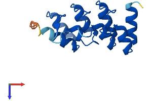 AlphaFold protein structure predicition of Human Recombinant CDKN2B Protein, UniprotID P42772