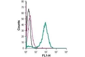 Cell surface detection of GLUT3 in live intact human THP-1 monocytic leukemia cells: (black line) Cells.