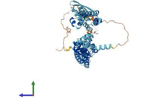 AlphaFold protein structure predicition of Mouse Recombinant Kcnc1 Protein, UniprotID P15388