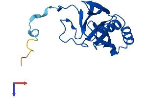 AlphaFold protein structure predicition of Mouse Recombinant Glod5 Protein, UniprotID Q9D8I3