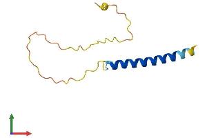 AlphaFold protein structure predicition of Human Recombinant NCOR1P1 Protein, UniprotID Q9H4R4
