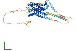 AlphaFold protein structure predicition of Mouse Recombinant Htr7 Protein, UniprotID P32304