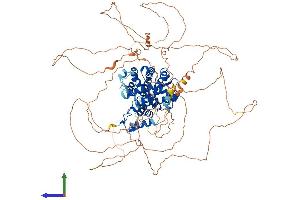 AlphaFold protein structure predicition of Human Recombinant PGR Protein, UniprotID P06401