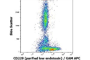 Flow cytometry surface staining pattern of human peripheral blood stained using anti-human CD229 (HLy9. (LY9 anticorps)