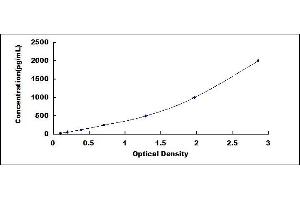 Typical standard curve (ADH5 Kit ELISA)