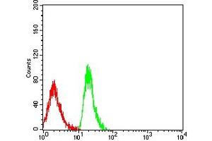 Flow cytometric analysis of MOLT4 cells using CD179A mouse mAb (green) and negative control (red).