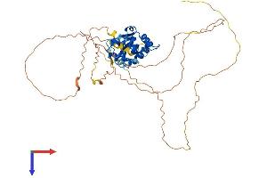 AlphaFold protein structure predicition of Human Recombinant FLI1 Protein, UniprotID Q01543