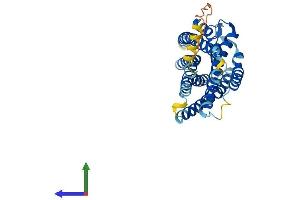 AlphaFold protein structure predicition of Human Recombinant CYSLTR1 Protein, UniprotID Q9Y271