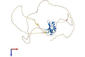 AlphaFold protein structure predicition of Mouse Recombinant Rbmy1a1 Protein, UniprotID O35698