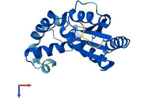 AlphaFold protein structure predicition of Mouse Recombinant Pmvk Protein, UniprotID Q9D1G2