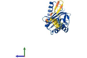 AlphaFold protein structure predicition of Human Recombinant AP3S2 Protein, UniprotID P59780